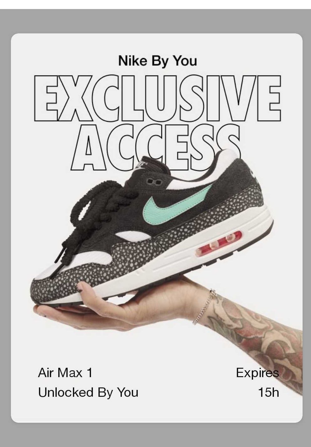 nike air max access