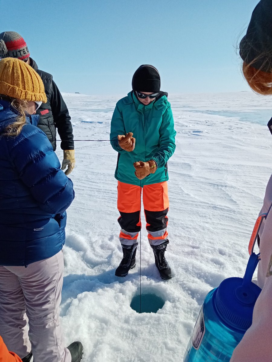 Sian Henley tweet media