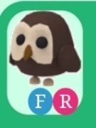 whisperingkoi's tweet photo. Trading FR owl for op genshin acc/pet simx/adopt me/rh/nitro! 
strictly ngf bc collecting proofs D: #adoptme #adoptmecrosstrading #genshintrade #royalehigh #royalehighcrosstrading #royalehighcrosstrade #genshinaccount #petsimx #adoptmegw #royalehighgw #rhgw #roblox #Adoptmetrade https://t.co/y2xvjiy7J6