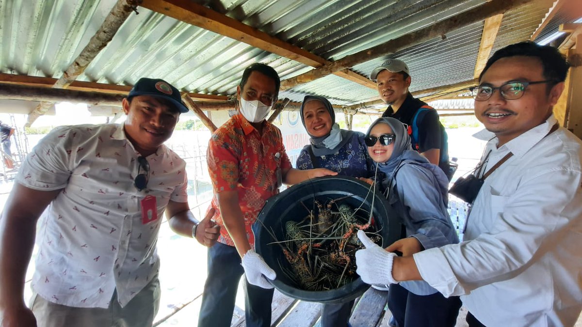 Jaya Telaumbanua tweet media