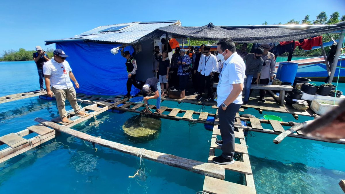 Jaya Telaumbanua tweet media