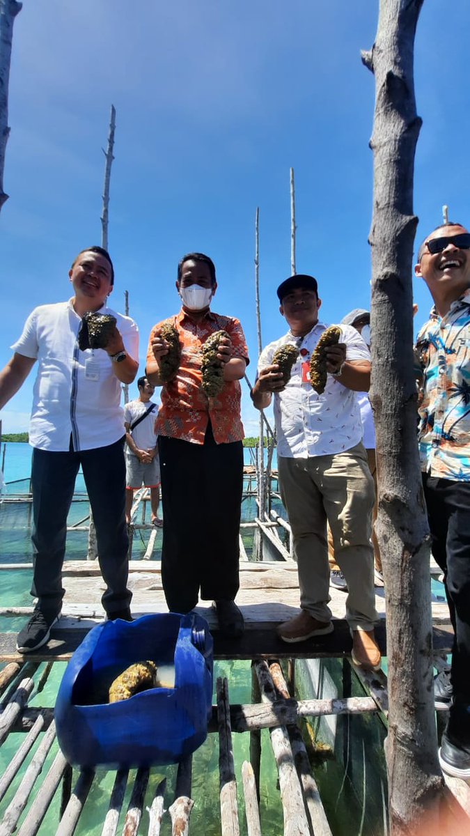 Jaya Telaumbanua tweet media