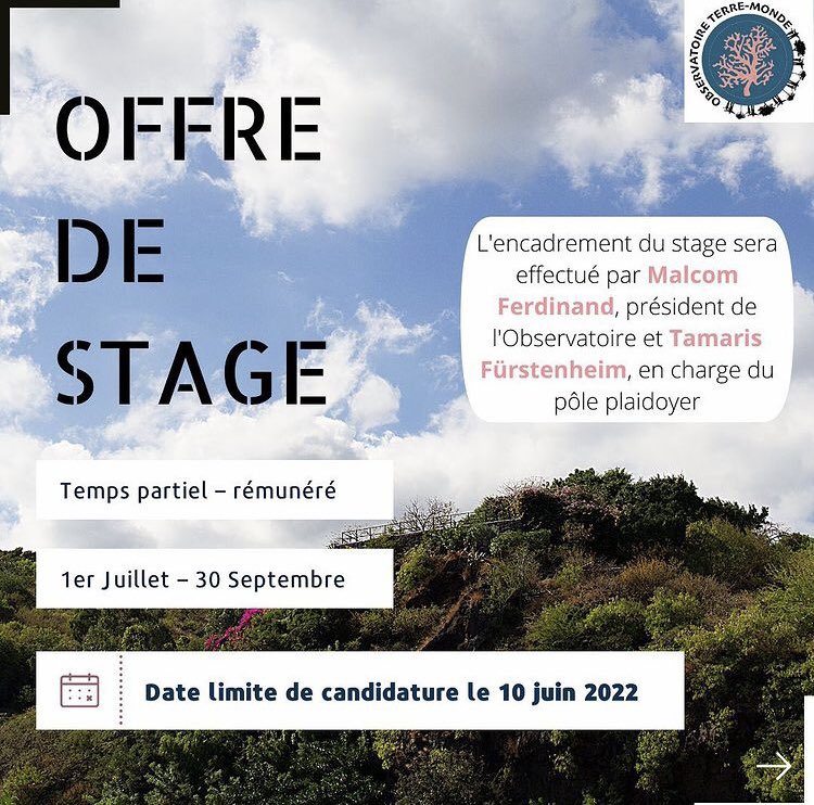 benoit_monange's tweet photo. Une super opportunité de stage avec @ObservatoireTM 
Du 1er juillet au 30 septembre 2022 pour aider à valoriser et partager le travail de l’observatoire ✨

Les candidatures seront clôturées le 10 juin 2022 – n’attends pas pour postuler dès maintenant ! 🌸 https://t.co/p6eobAs7c8