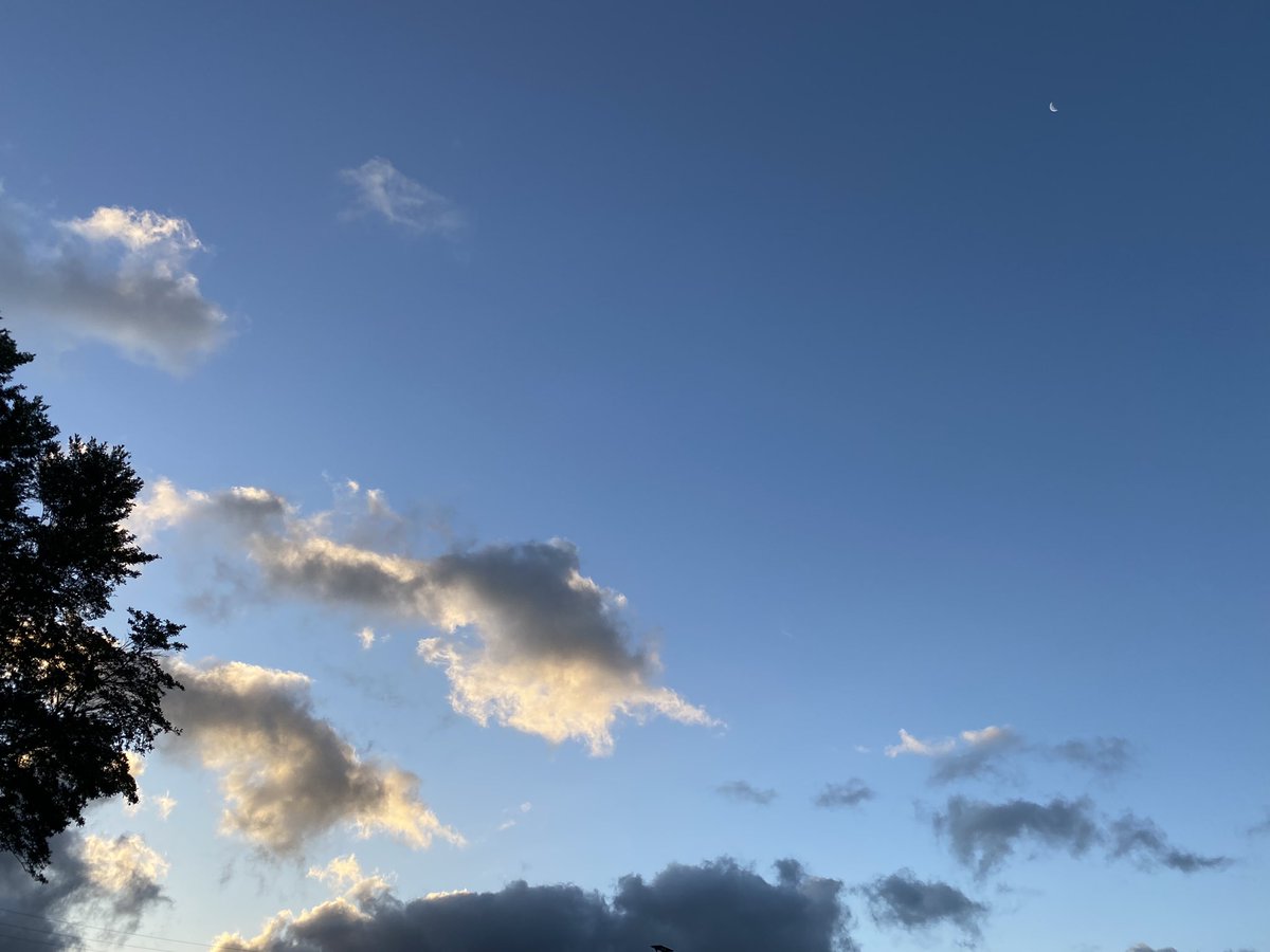 Happy Aloha Monday Moanalua, It’s looking and feeling like summer.  Have an amazing day and enjoy… #mmsherd #808educate