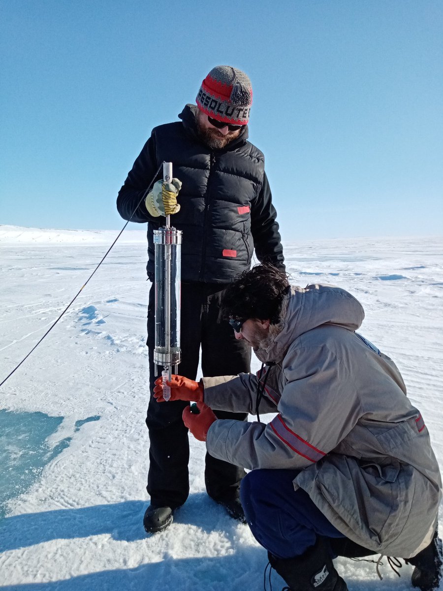 Sian Henley tweet media