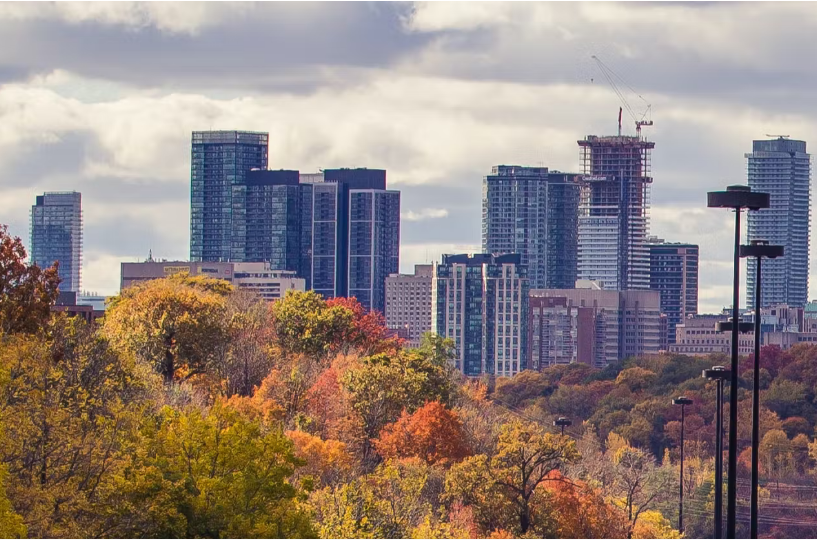 OURS_Winnipeg's tweet photo. Protecting and enhancing greenspace, natural areas and urban canopy are part of the solution. Join the discussion! #climateadaption #saveourcanopy #biodiversity
https://t.co/6huo5dfy3N https://t.co/Wr7wKn0UWV