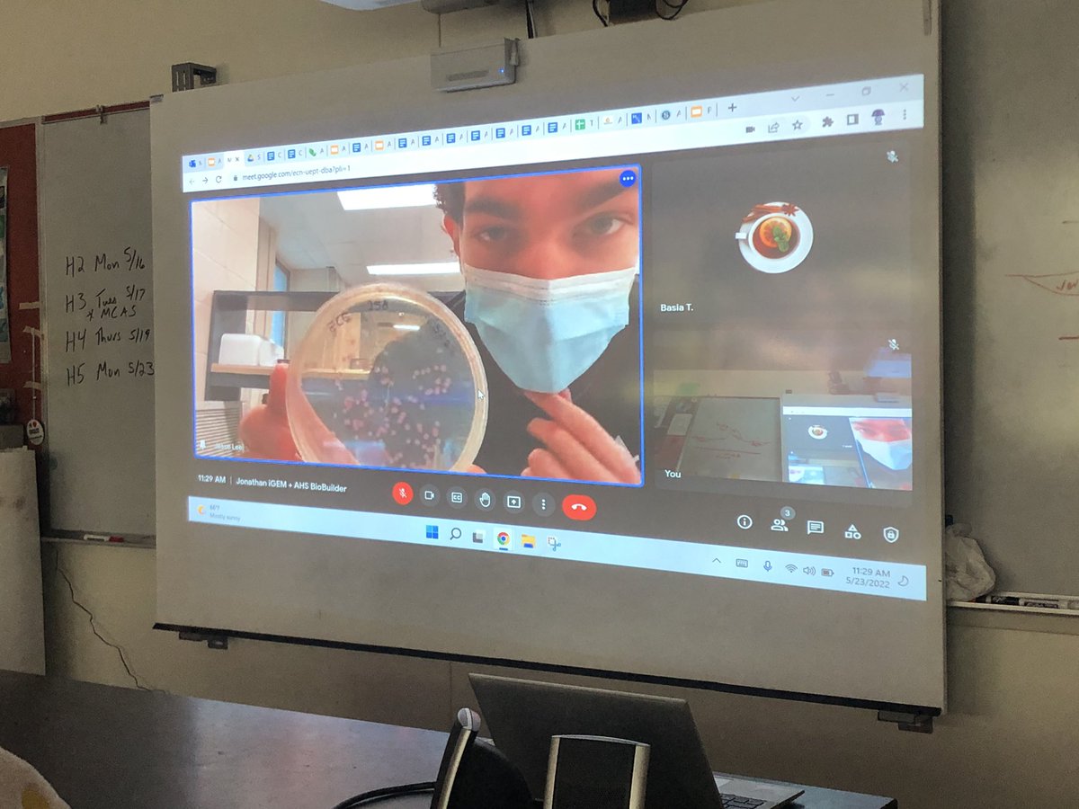 End of #BioBuilderClub photo to say farewell to our seniors, as well as visits from ‘21 members to talk about their plans for summer research - The <a href="/igemmcgill/">McGill iGEM</a> team joined virtually to give us a sweet tour of the lab! 🧬🧫 <a href="/SystemsSally/">Systems Sally</a> <a href="/AndoverHS_Princ/">Caitlin Brown</a>