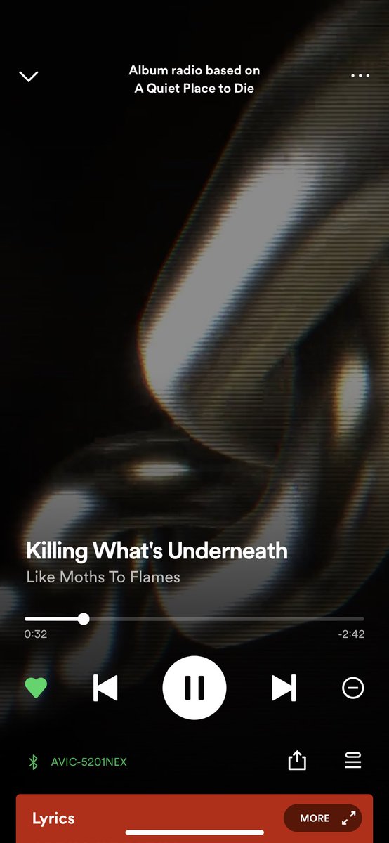JTejada66's tweet photo. @LMTF 
Moth Monday ❤️❤️ https://t.co/jLCSEWuMer