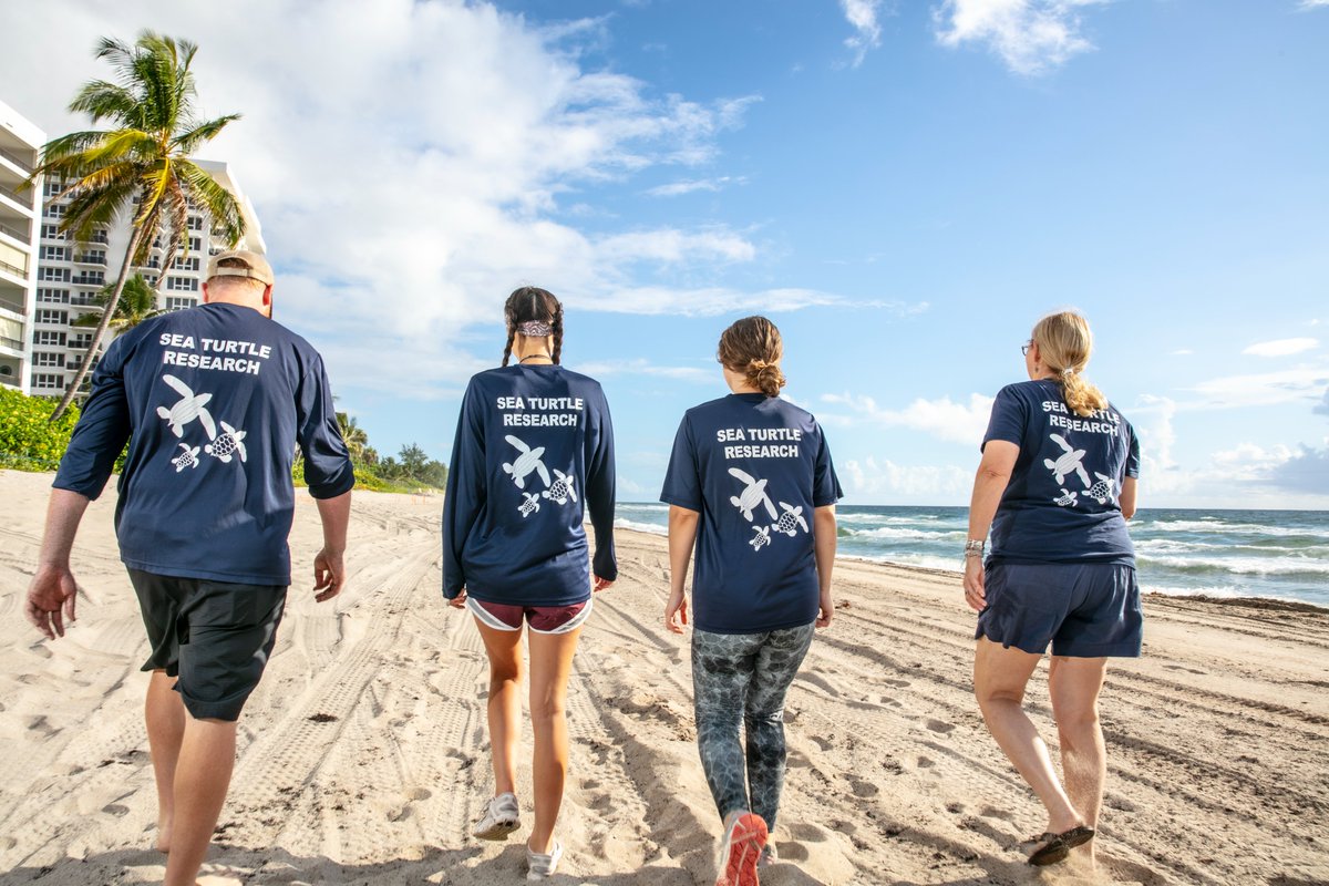 FloridaAtlantic's tweet photo. We're SHELLebrating #WorldTurtleDay! 🐢 We're proud to have @FAUScience researching and protecting these amazing creatures 👉 https://t.co/IRAu7JUOCG https://t.co/LAqtLhrAEF