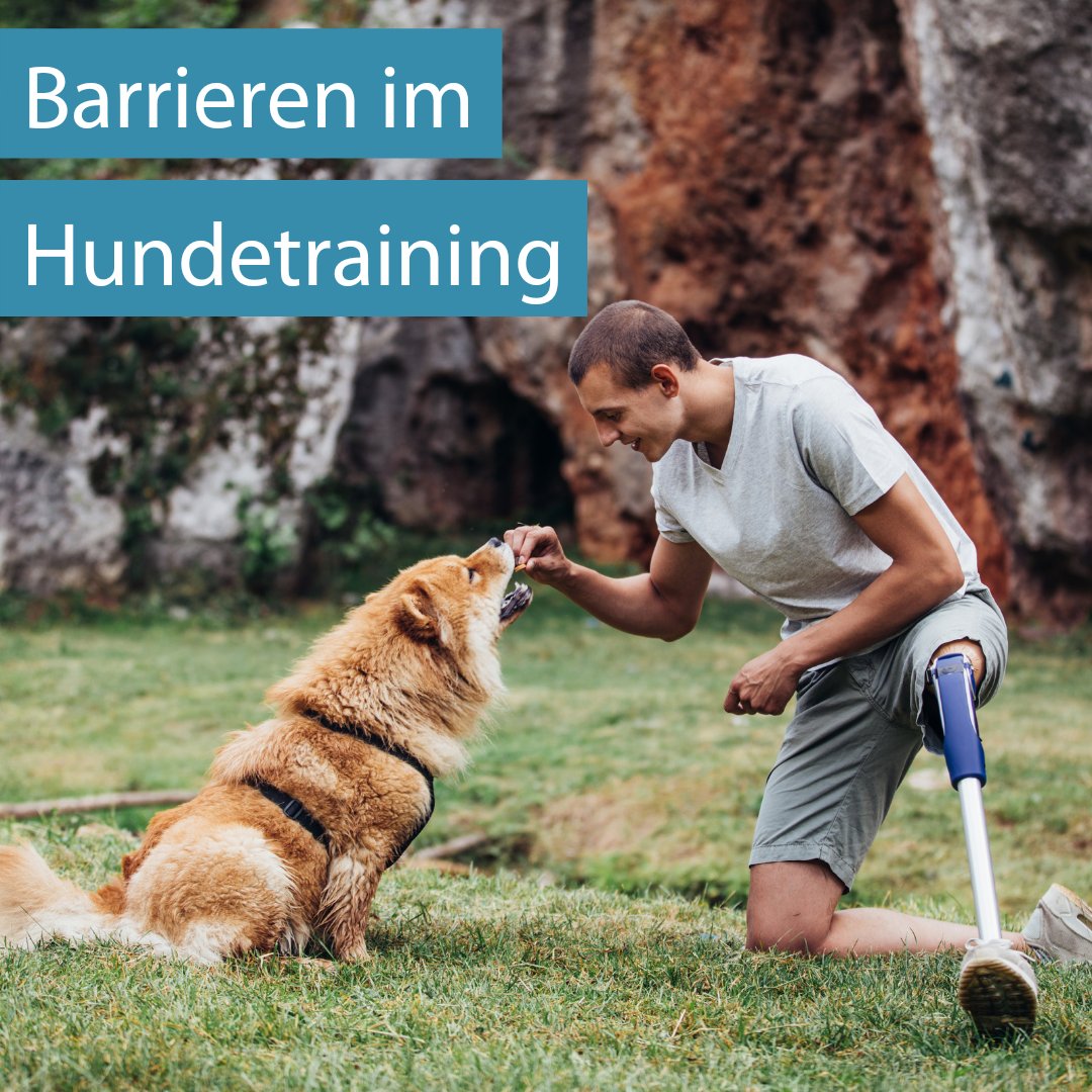 Das erste Projekt von #VielfaltImHundetraining! 😍
👉 Die Checkliste, um Barrieren rund um Hundetrainingsorte zu prüfen. Gebt sie gerne weiter &amp; uns Feedback! Die Checkliste und ein Interview mit der Erdenkerin über die Bedeutung von Barrieren gibt's hier: kynologisch.net/barrieren-hund…