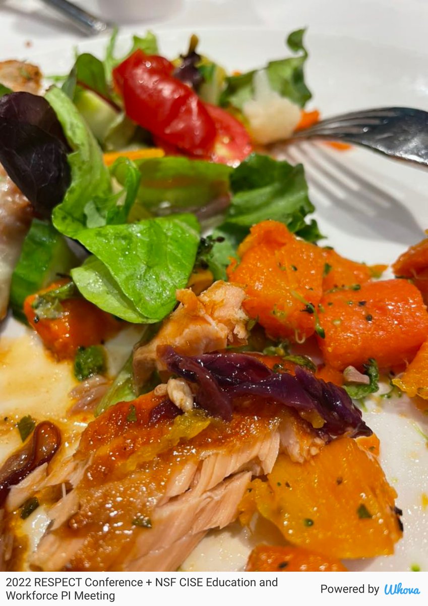 DrTiffanyBarnes's tweet photo. Yum! Salmon and roasted veggies #respect2022 #RESPECTConference #respectbpc via Whova event app https://t.co/O7G8H2f4yU https://t.co/2MycpB9PIl