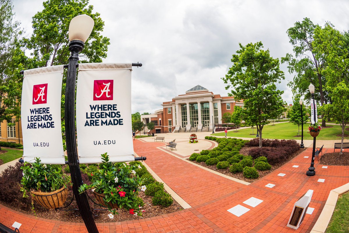 TeeCollinss's tweet photo. This fall, I will be transferring and continuing my academics at The University of Alabama. Excited for this next journey! 

UA ‘24  🎓

Jeremiah 29:11 || #RollTideee 🐘 https://t.co/qRDx6KNPtW
