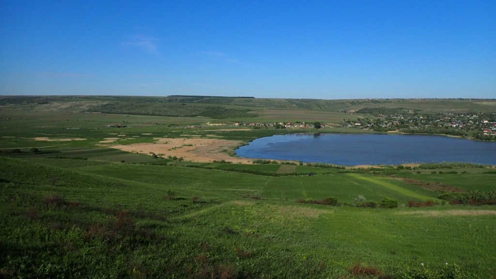 VojtechBrlik's tweet photo. Site 6 - Mosaic of #natural habitats and little fields. Burned #pastures attracted #Ortolan Buntings and dense shrubs Barred Warblers (Motoseni, Romania).
However, densities of Great Reed Warblers dropped so we added nets and left with 11.
9/n
#ExpeditionGradient #ecology https://t.co/PukvIuhPa5
