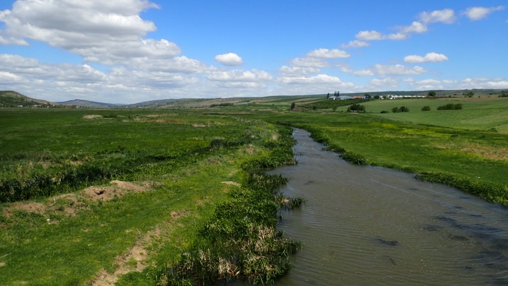 VojtechBrlik's tweet photo. Site 6 - Mosaic of #natural habitats and little fields. Burned #pastures attracted #Ortolan Buntings and dense shrubs Barred Warblers (Motoseni, Romania).
However, densities of Great Reed Warblers dropped so we added nets and left with 11.
9/n
#ExpeditionGradient #ecology https://t.co/PukvIuhPa5