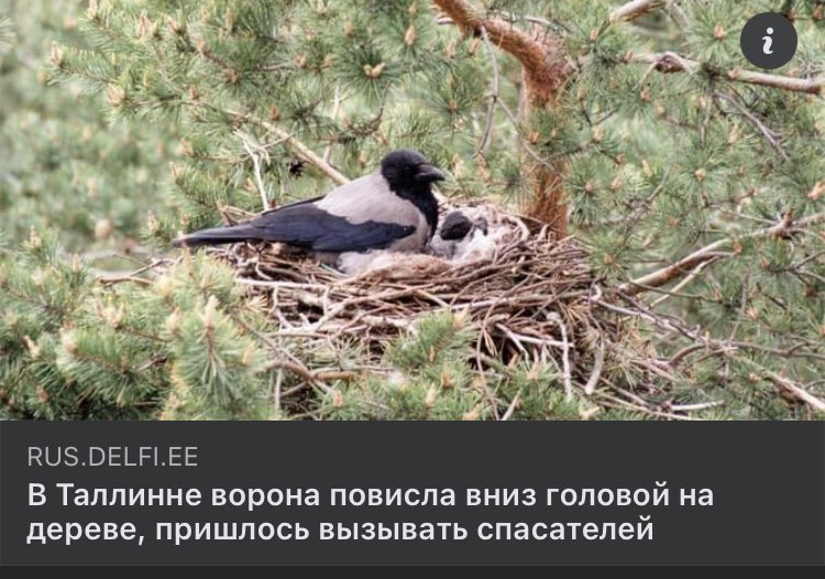 И опять к новостям из Эстонии