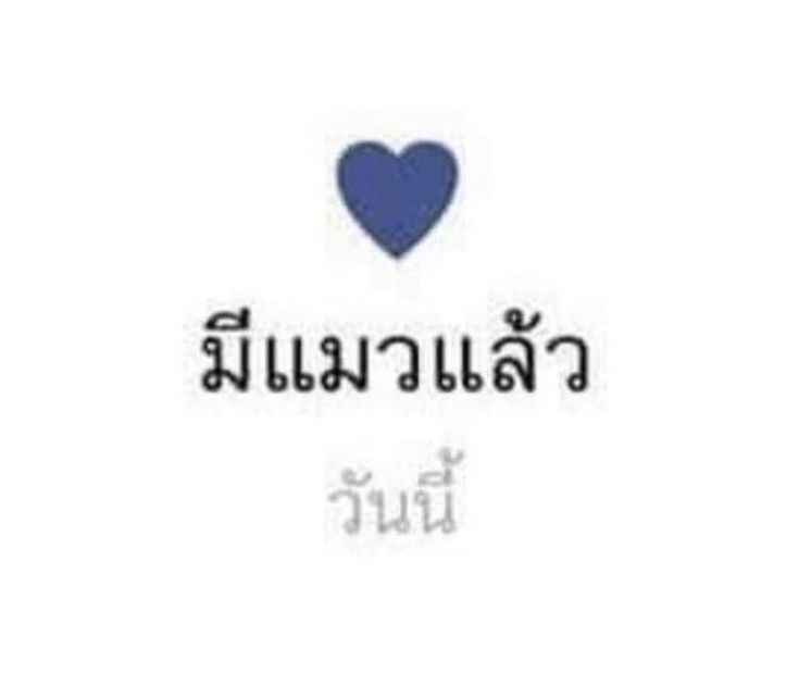 Milo_JNP's tweet photo. ☺ https://t.co/PL4fdFgMzK