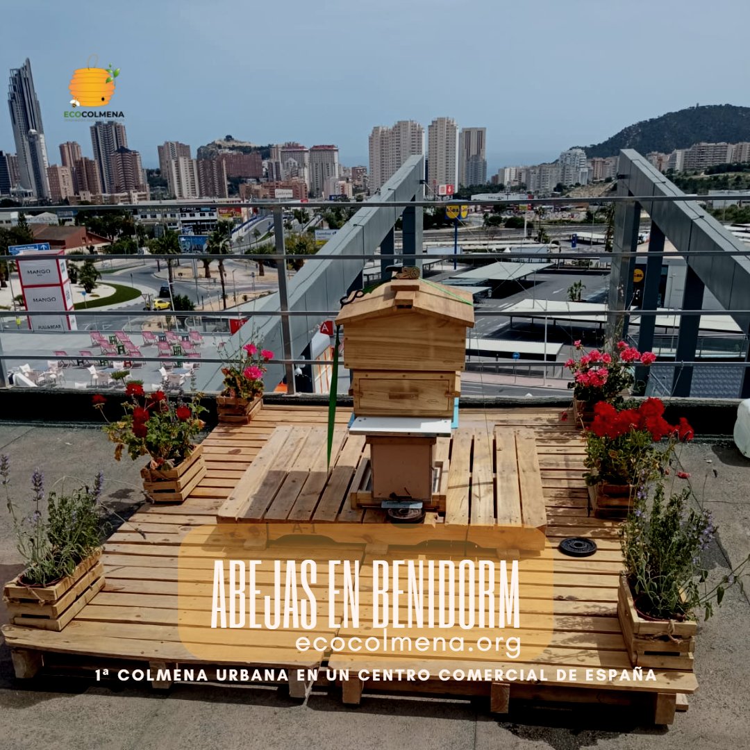 Jesús Manzano tweet media