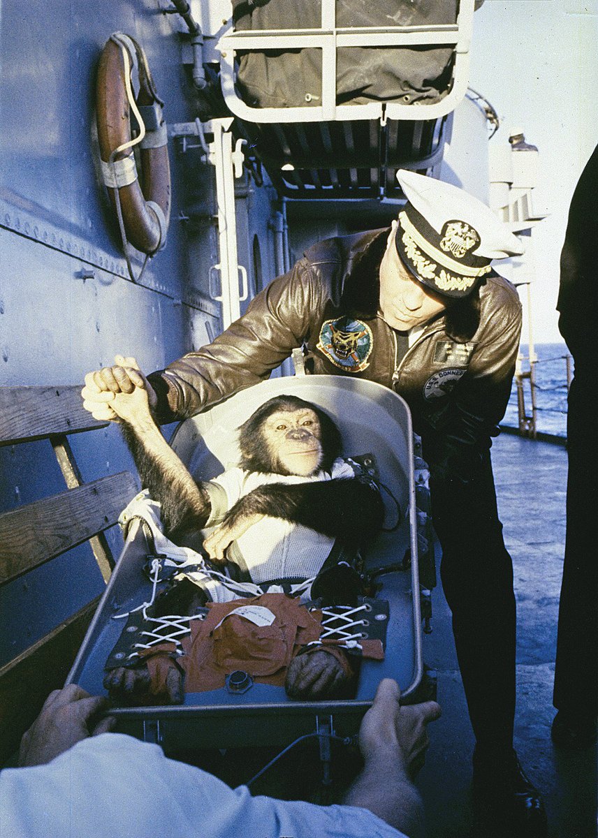 ampol_moment's tweet photo. Ham becomes the first chimp to not only go to space but to survive the voyage, reaching a flight time of 16 minutes. (1961) https://t.co/Ntpk5LfO4Z