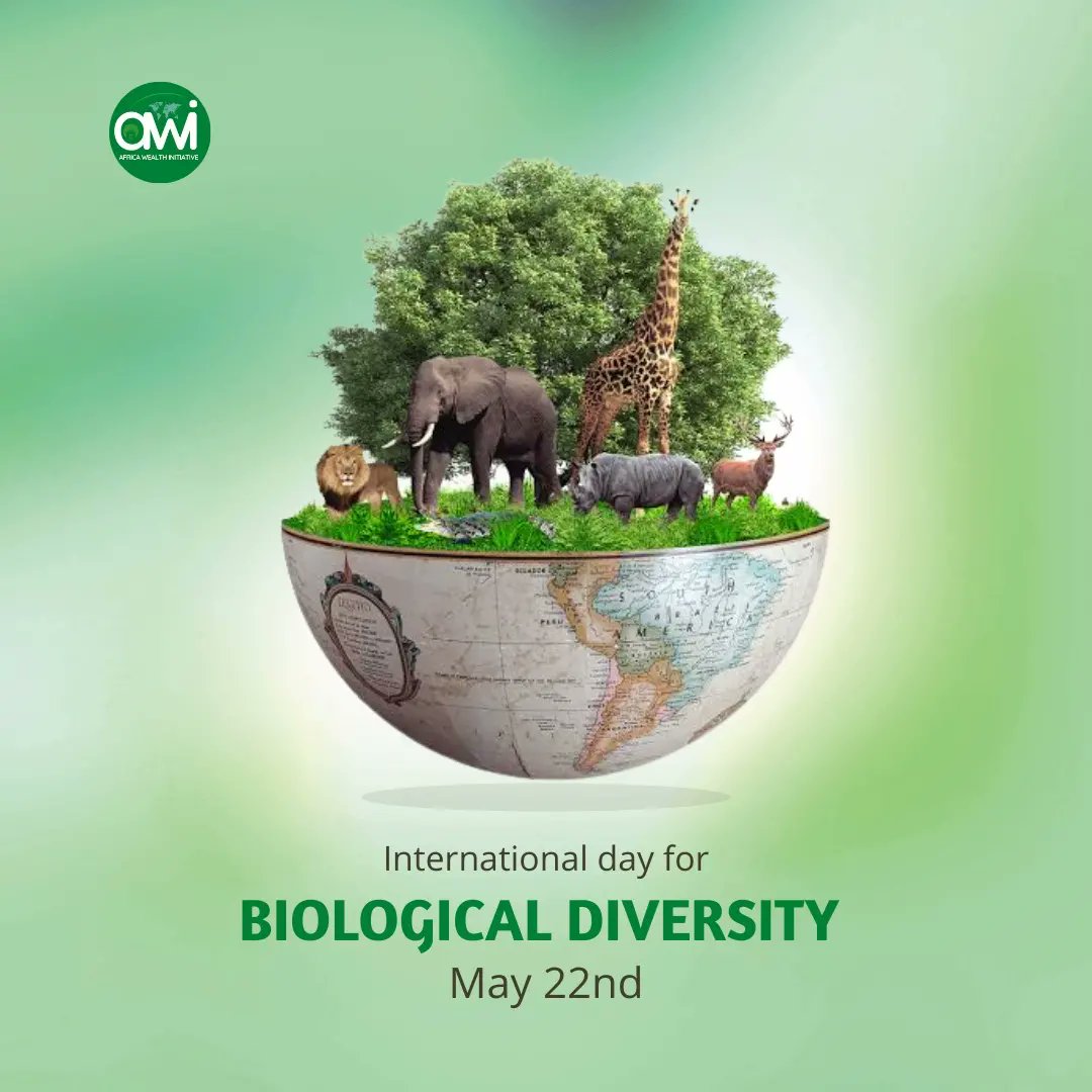 AfricaWealth's tweet photo. Biological diversity is also known as #Biodiversity is a broad phrase that refers to the diversity and variability of life on Earth.

Somethingbigiscomming bankyw 23rdmay beatric #BBNaijaReunion  #JusticeForJohnny #justicefornamhla #aksu  ADHD #FentyBeautyXMaria twitterdatingshow https://t.co/njMulxOVG7