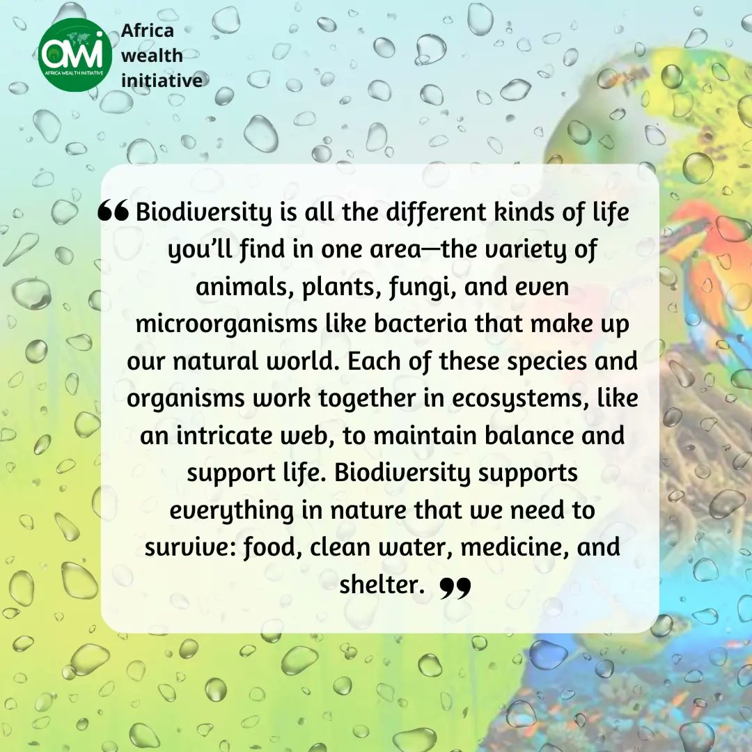 AfricaWealth's tweet photo. Biological diversity is also known as #Biodiversity is a broad phrase that refers to the diversity and variability of life on Earth.

Somethingbigiscomming bankyw 23rdmay beatric #BBNaijaReunion  #JusticeForJohnny #justicefornamhla #aksu  ADHD #FentyBeautyXMaria twitterdatingshow https://t.co/njMulxOVG7