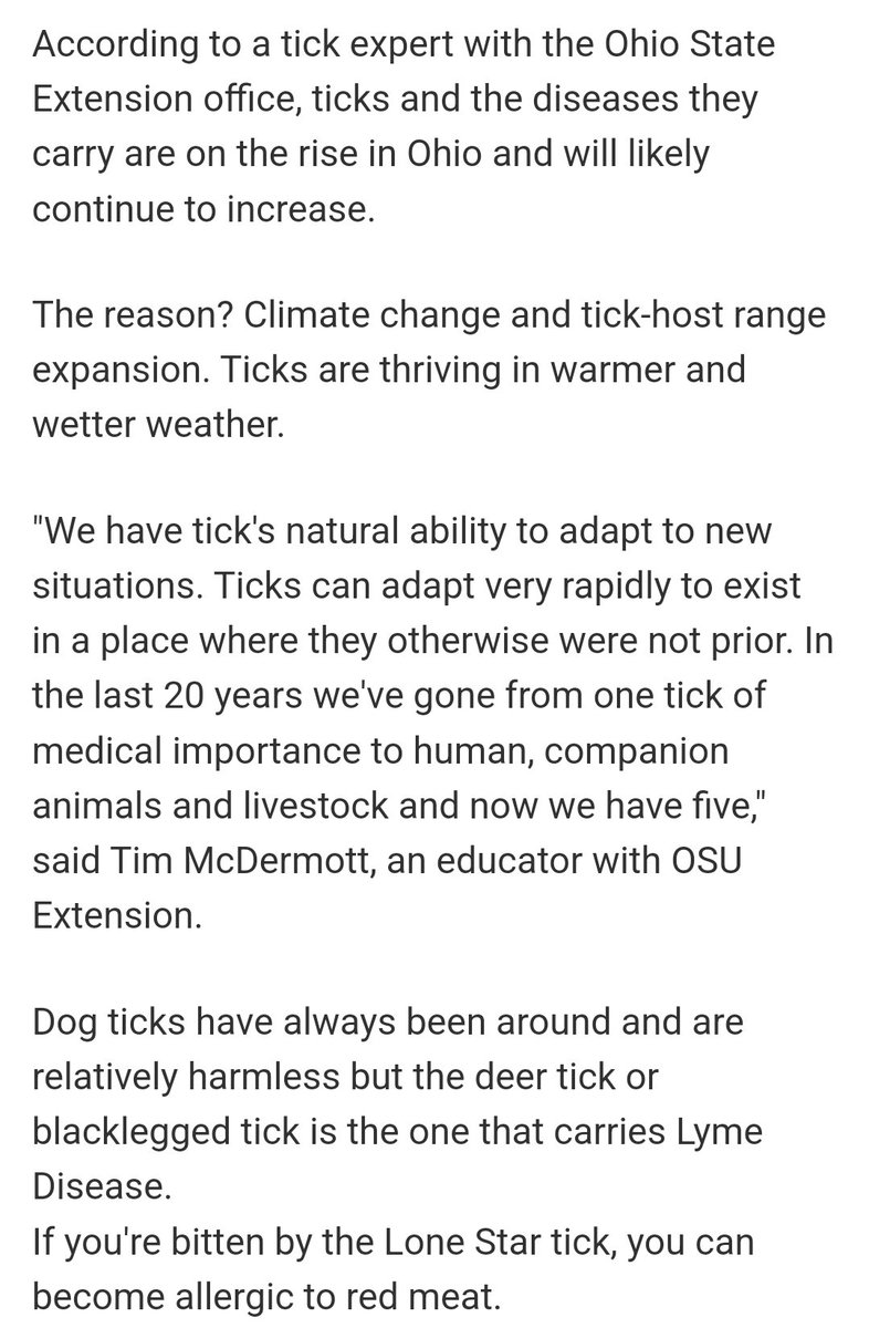 rwrobinson37's tweet image. #WinterTicks hunt in packs &amp;amp; feast upon their host, Hellish creatures guided by instinct. Did a &quot;loving&quot; God create souls for ticks, or were they created by demons😜😈😂? Do spiritual experts know? Nature devours &amp;amp; evolves💀🧬. #DeerTicks #BlackleggedTicks #Ticks #MondayThoughts