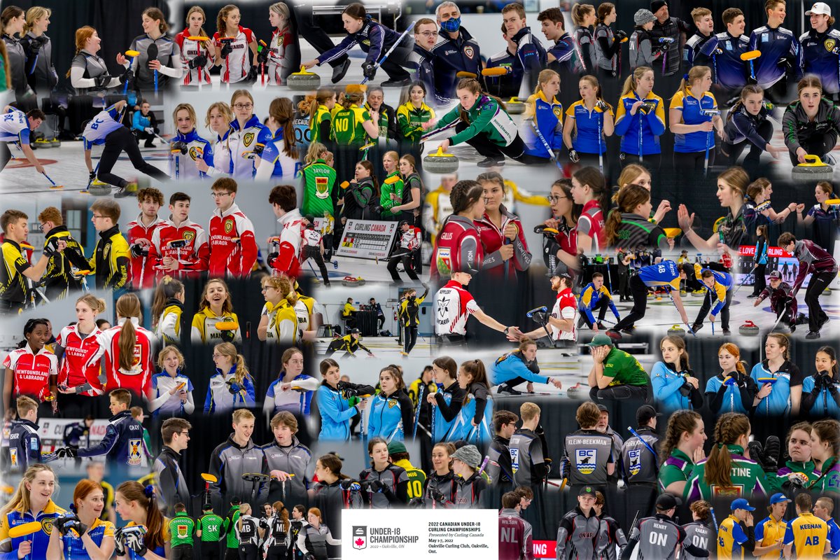 CurlingPhotos tweet media