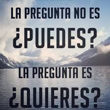 La gran pregunta ☝️