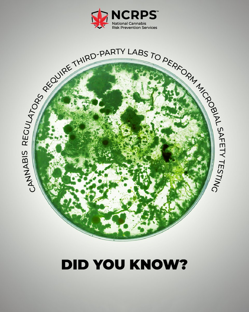theNCRPS's tweet photo. What happens if a cannabis customer consumes a contaminated product?

The dispensary AND cannabis processors are vulnerable to legal prosecution.
 
Be in the know. Learn your cannabis business' risk score:
https://t.co/nFsgZqM6rT

#KnowYourRisk https://t.co/WHRMEqzbPz