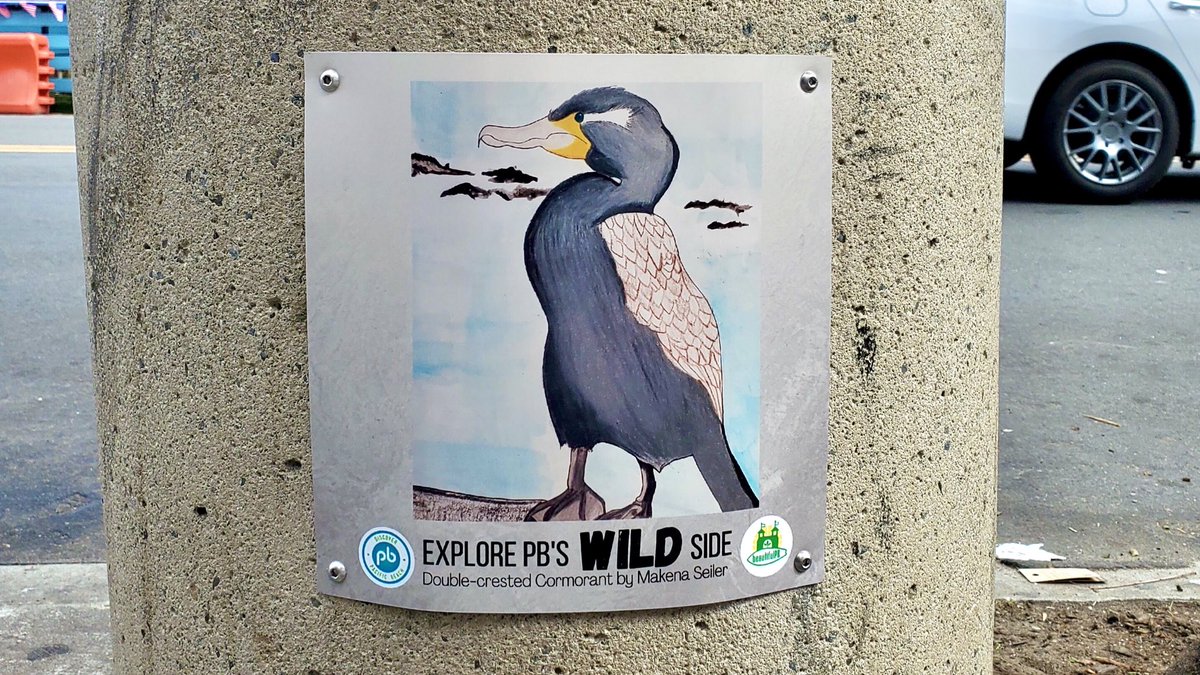 beautifulPB tweet media