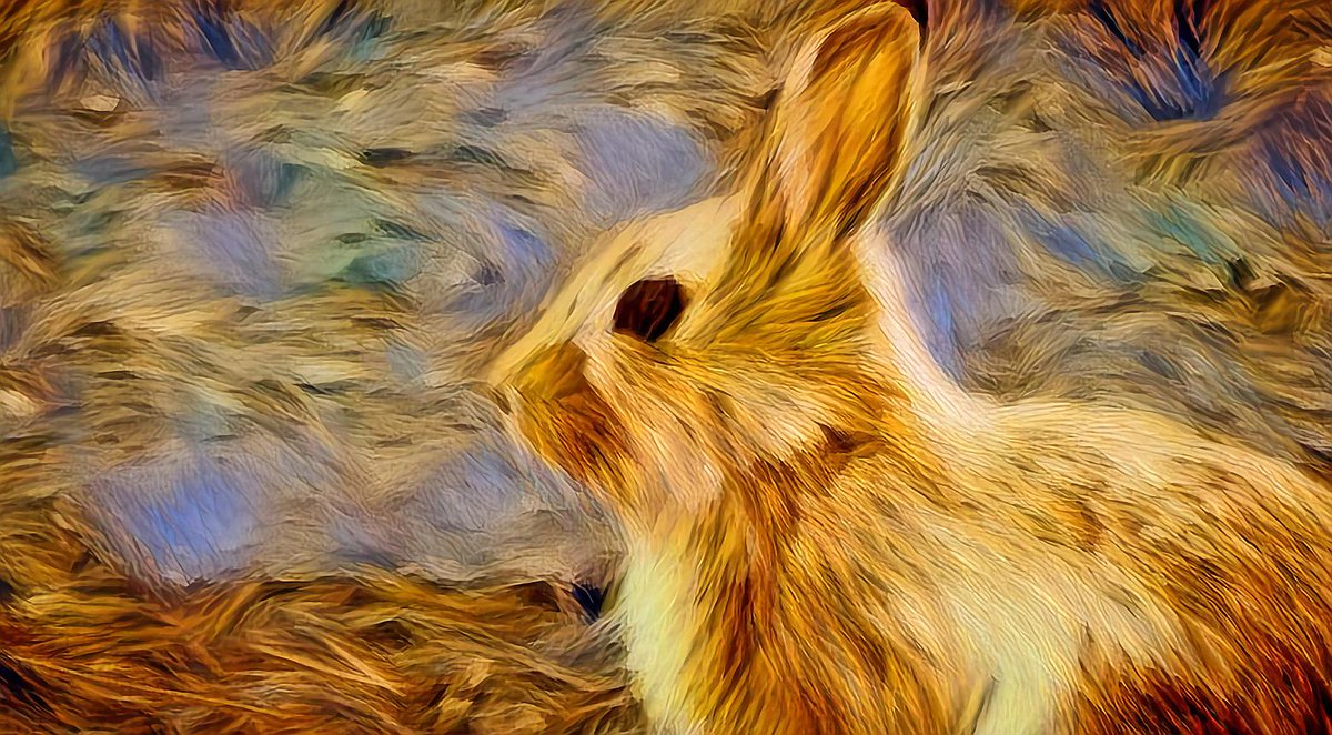 TranceAIArt's tweet image. Hare-y situation 
(Dont roll those eyes at me)
#abstract #rabbit #abstractanimals #generativeai #generativeart