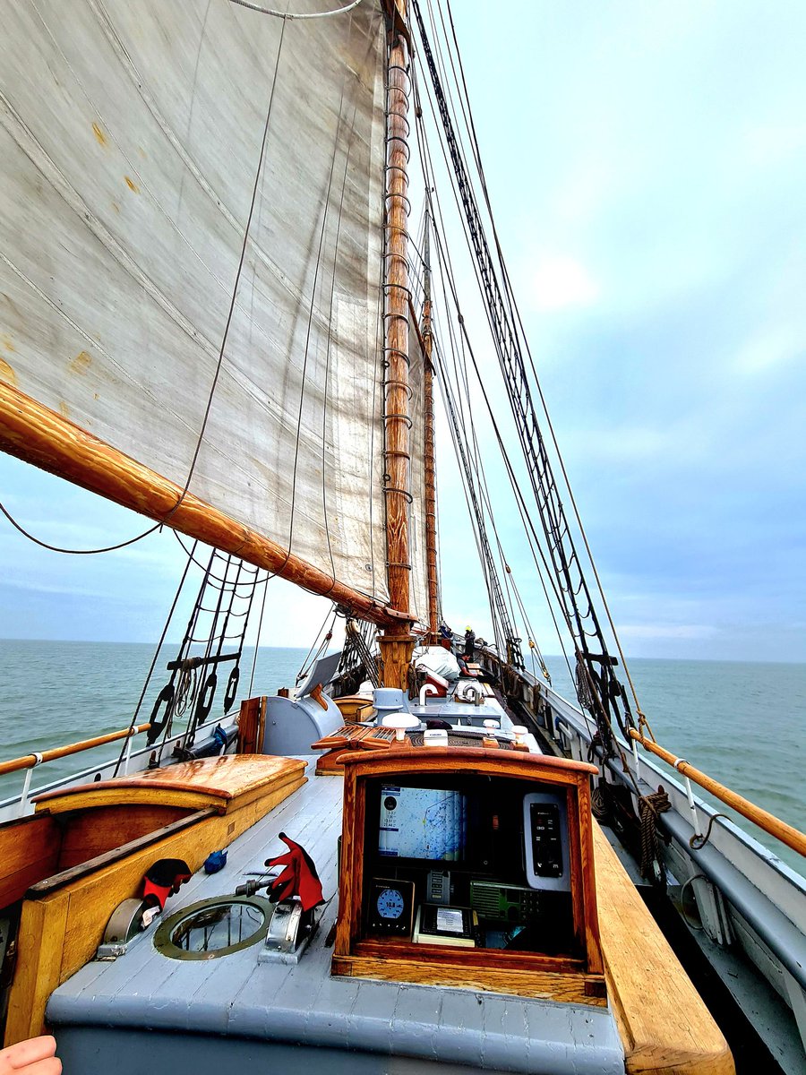 Ship Happens tweet media