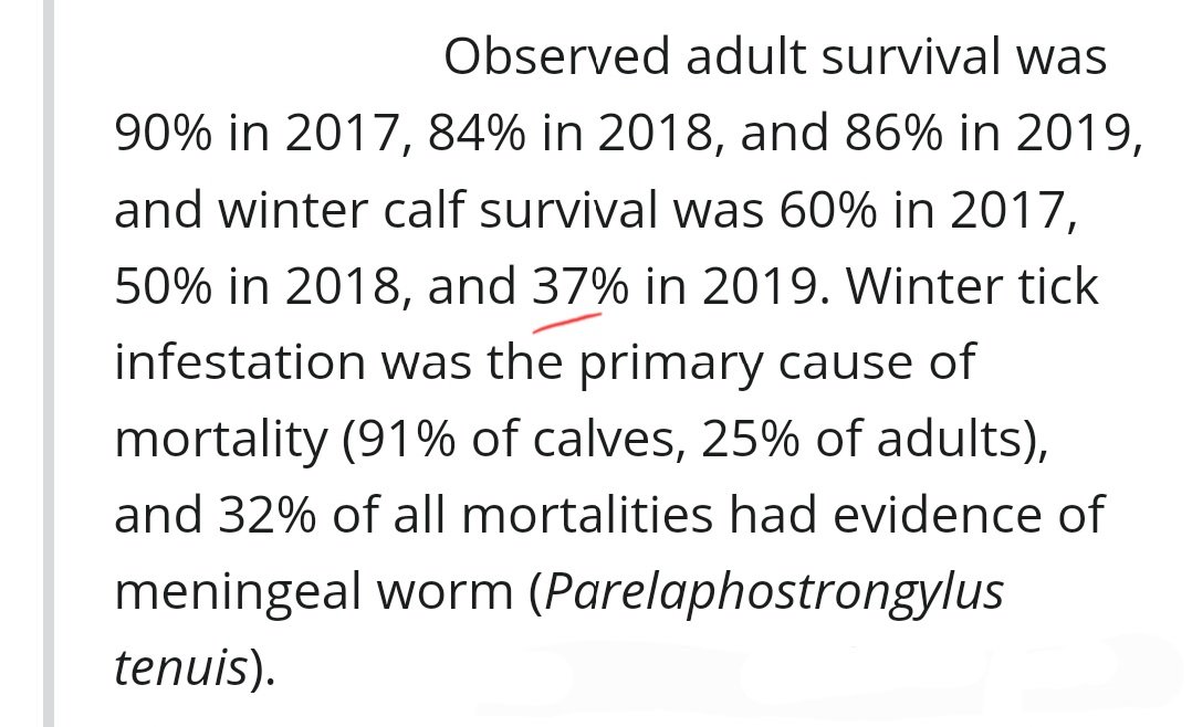 rwrobinson37's tweet image. #WinterTicks hunt in packs &amp;amp; feast upon their host, Hellish creatures guided by instinct. Did a &quot;loving&quot; God create souls for ticks, or were they created by demons😜😈😂? Do spiritual experts know? Nature devours &amp;amp; evolves💀🧬. #DeerTicks #BlackleggedTicks #Ticks #MondayThoughts