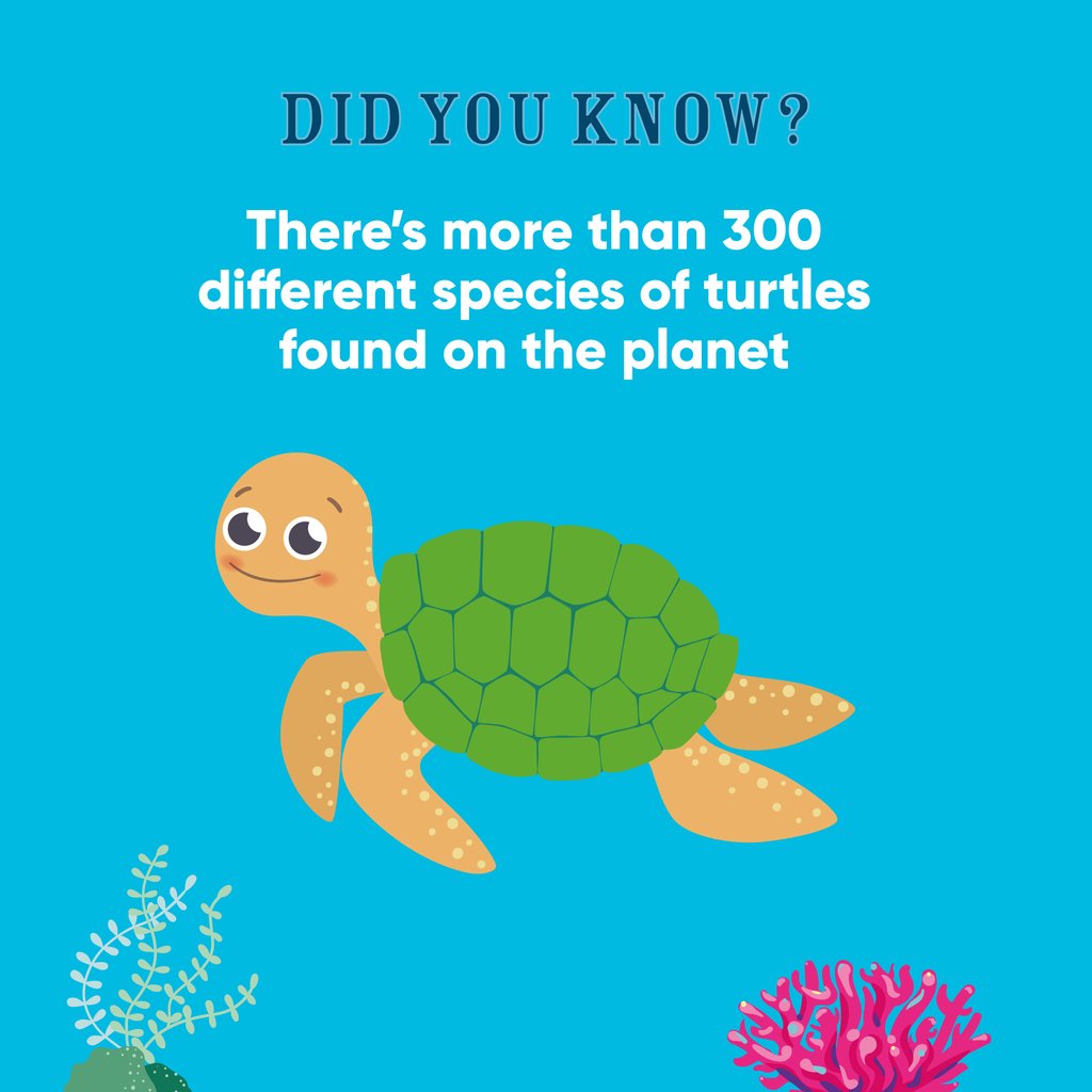 LearnwithOJO's tweet photo. #WorldTurtleDay is celebrated as a reminder that the hundreds of turtle species are endangered and we need to help them to live and grow in their natural habitat 🐢 let's help protect them for future generations! 🌍
#turtleday #oceankids #marinebiology https://t.co/8aGiFTTi32