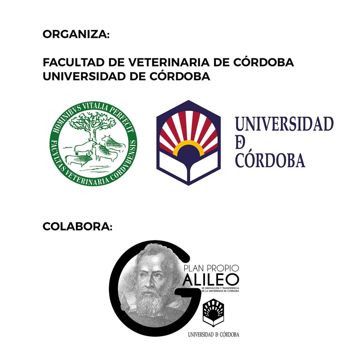VeterinariaUCO's tweet photo. 🗣Jornada online de #SalidasProfesionales del Grado de #Veterinaria 
🗓 30 de mayo. 10:00h 
#FormatoVirtual @Univcordoba 
Enlace a la reunión 👉🏻https://t.co/8ul47Xkj7l #veterinariaUCO https://t.co/k1dRii9lAx