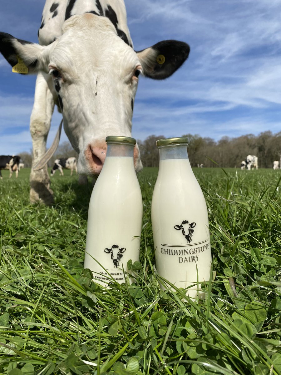 Chiddairy's tweet photo. Our milk is from our free range herd on our farm in Chiddingstone and will soon be available for local delivery We offer one off and regular deliveries Message us to register your interest! #Chiddingstone #Markbeech #Hever #Edenbridge #FourElms #chiddingstonecauseway #BoughBeech https://t.co/gQlEaNSy62
