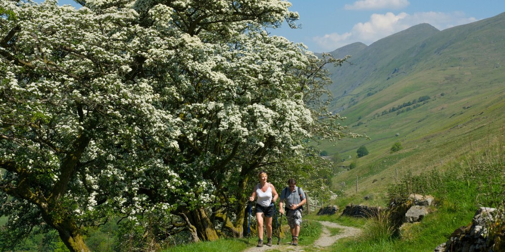 CPRELincs's tweet photo. In #May we're treated to a spectacle of flowers in the countryside, so explore #Linolnshire green spaces if you can π
With mayflower in the hedgerows, to ox-eye daisies and campion on verges and grassland, and yellow flag iris in wetland, there's plenty to look out for π https://t.co/pYZmuNE30Z
