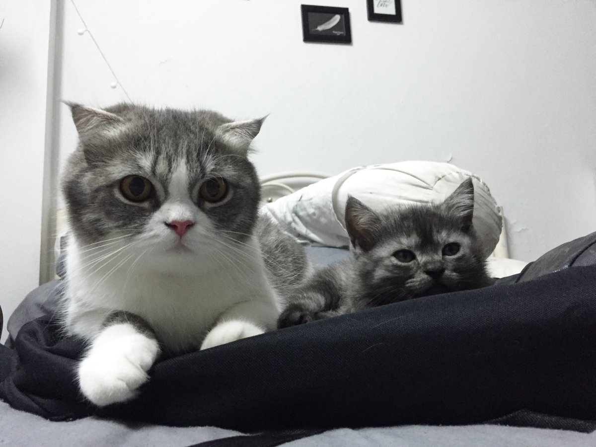 enji2202's tweet photo. มาหยอกได้น้าาา #คลองหก https://t.co/n8fKOgP8Dx