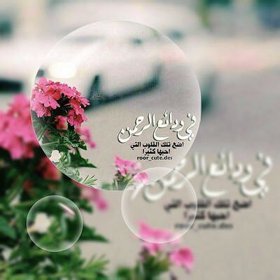 معي ضيقه دعواتكم بطلع اترككم في رعاية الله ان رجعت زين وان ما رجعت لاتسوني ووالدي من خالص دعواتك🌸🌸
