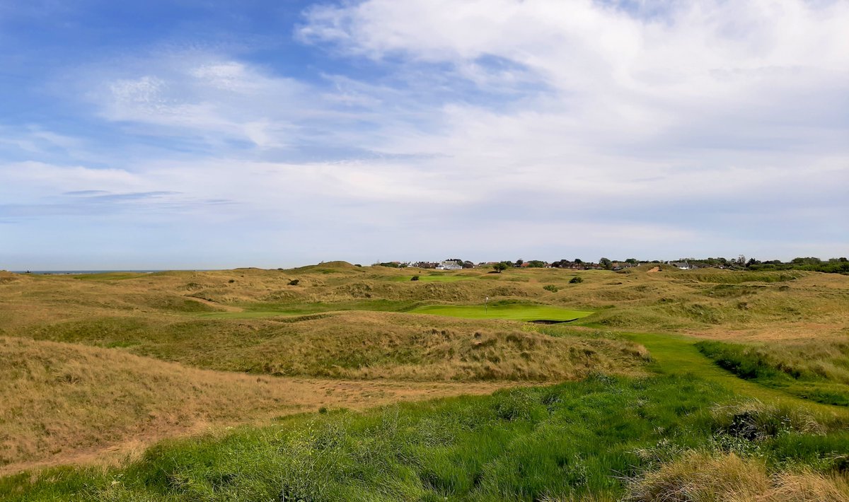 Golf Club Secretary tweet media