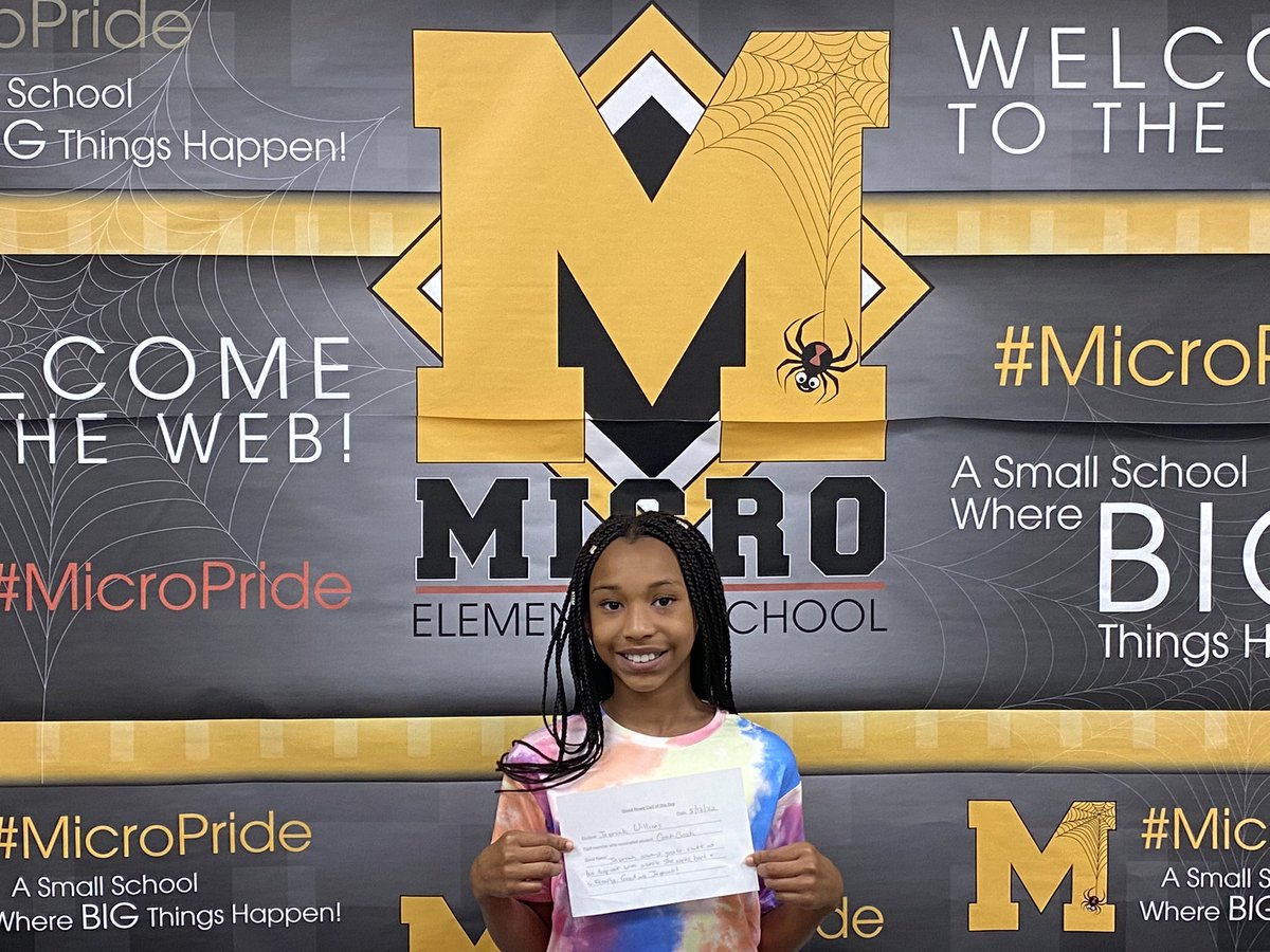 Micro Elementary tweet media