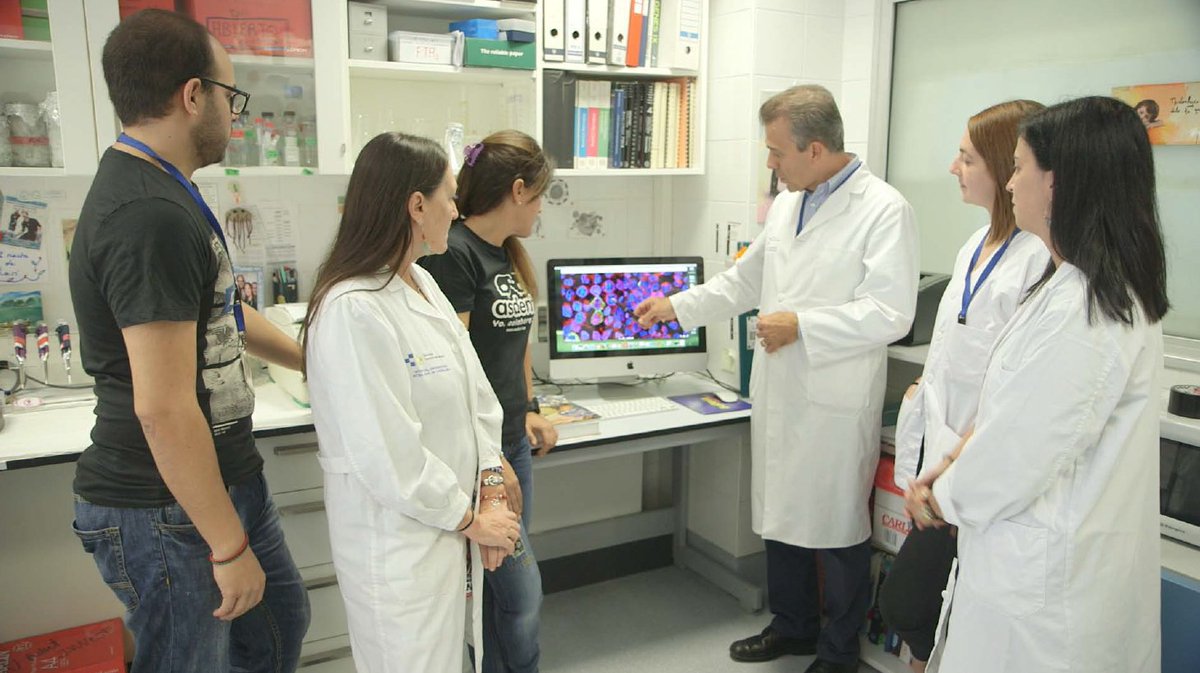 📰 Noticia hoy en el medio: <a href="/canarias7/">Canarias7</a>
  
👉 La Candelaria investiga nuevos fármacos para la enfermedad de Dent de tipo 1.

Esta nueva investigación es financiada por Asdent y el Instituto de Salud Carlos III-Fondo Europeo de Desarrollo Regional.

Enlace: canarias7.es/sociedad/cande…