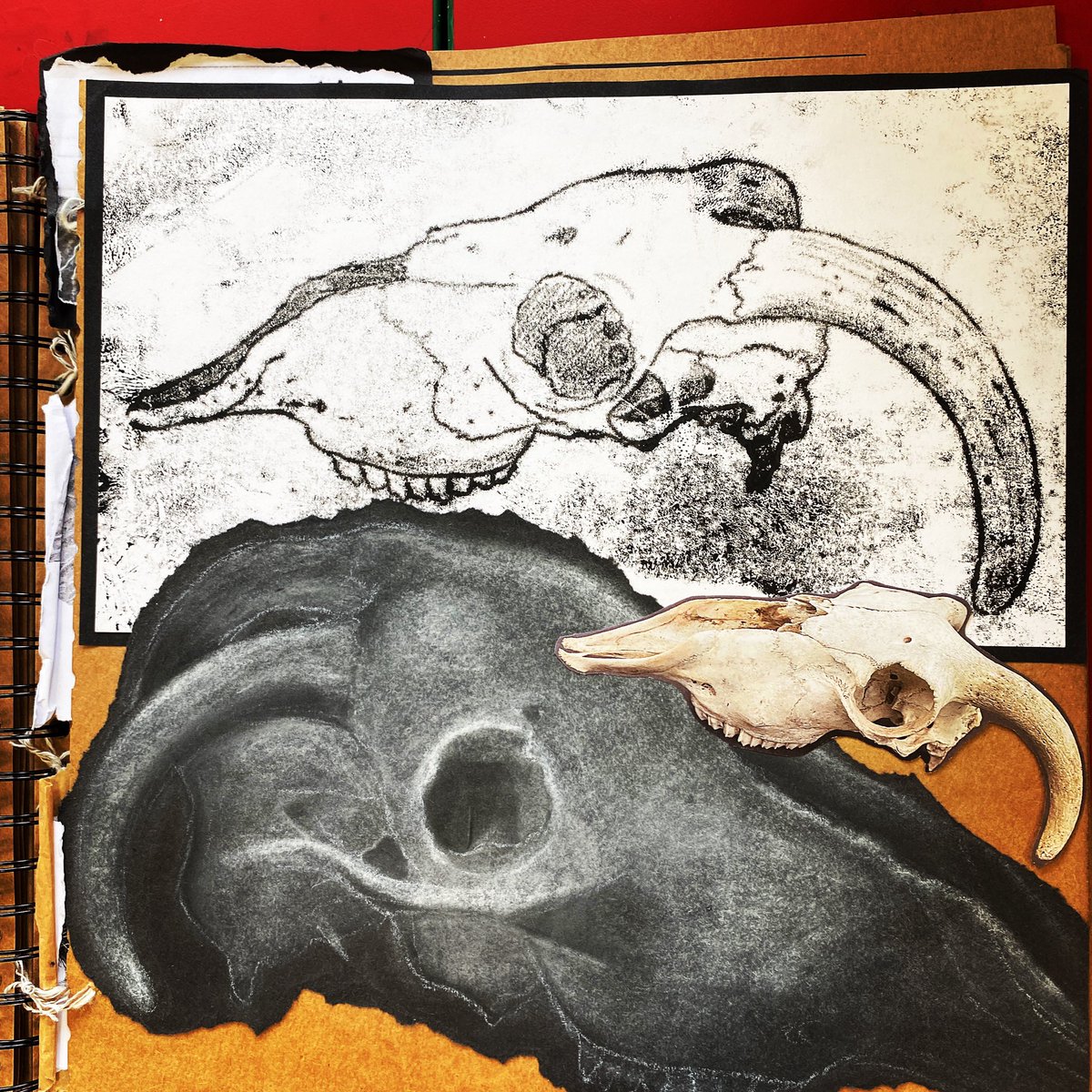 ArtMrsLewis's tweet photo. Lucie’s sheep skull in chalk and black ink #creativemaking #studentart #edutwitter https://t.co/J9boUMOols