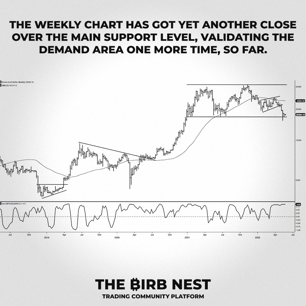 THE ₿IRB NEST tweet media