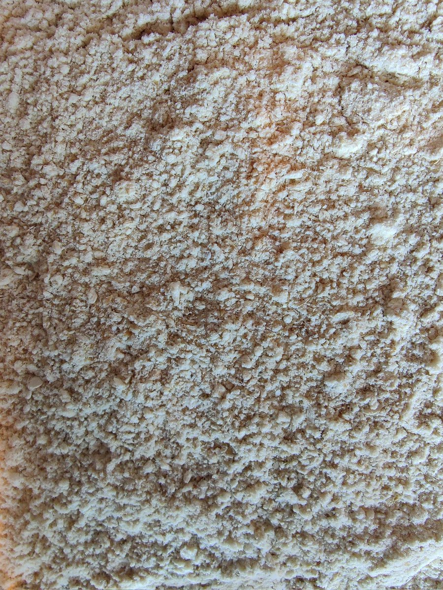 Dried and powdered oyster mushrooms. Looks like they need another go in the dehydrator, get rid of the last of the moisture for storage. This shit is powdered flavour.