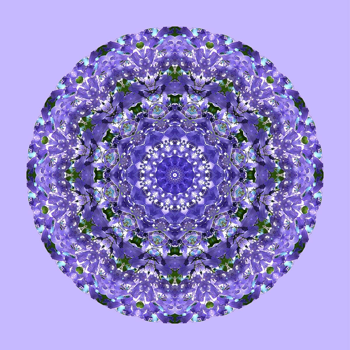 Cryptoportals_'s tweet photo. #039 Jacaranda

https://t.co/CDjKJnGu8i

#nft #nftart #nftartist #cryptoportals #artenft #nftlife #opensea #openseanft #nftcollector #nftcommunity #nftmexico #gicleeprint #giclee https://t.co/3ccIqKH9kZ