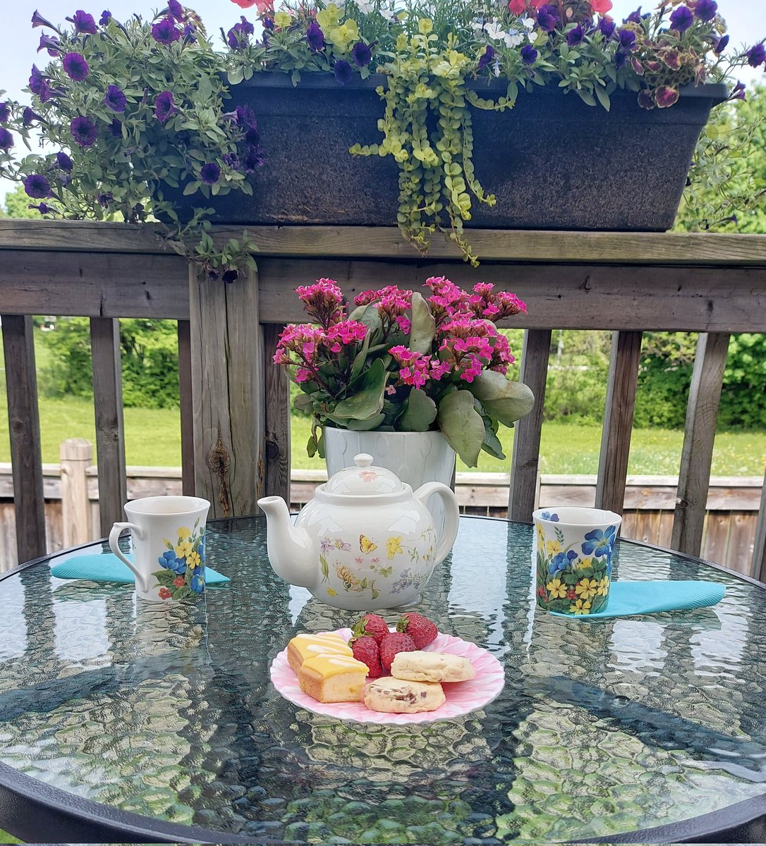 teaamoca's tweet photo. The best kind of long weekend is one spent relaxing with tea! #hamont https://t.co/0qYaNWn3jA