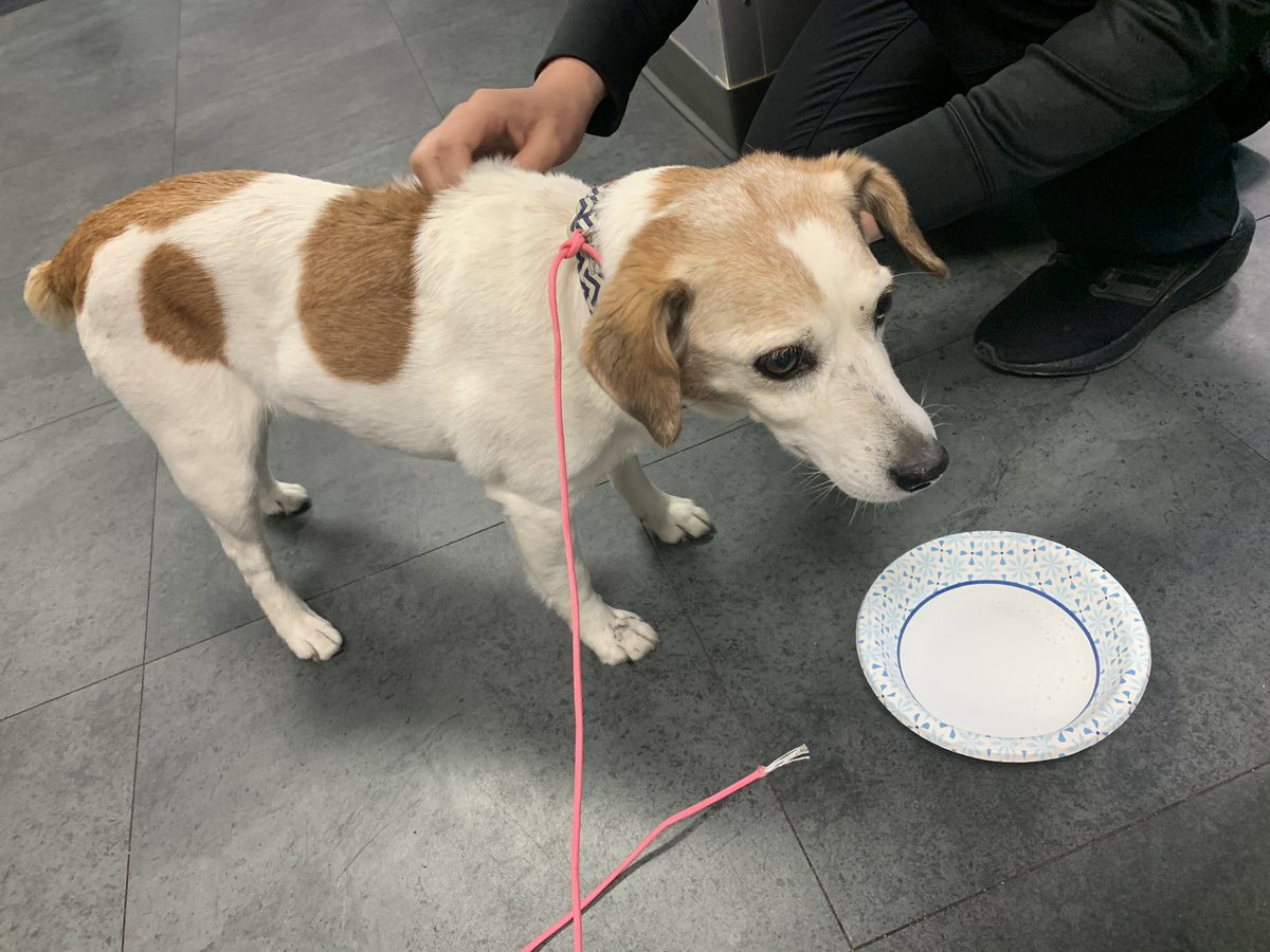 Prairie Village Police tweet media