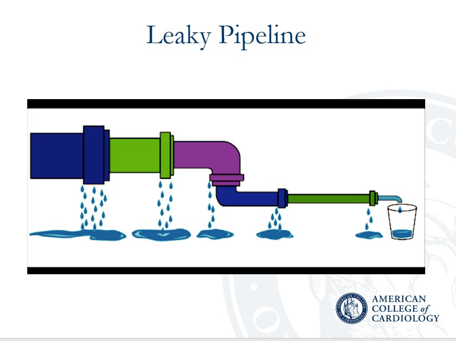 DavidLBrownMD's tweet photo. Is it a leaky pipeline or a distal obstruction that results in disproportionately low numbers of women and Black physicians in cardiology? IMO a leaky pipeline would look like this (for women as an example): https://t.co/zOiesqFP7l