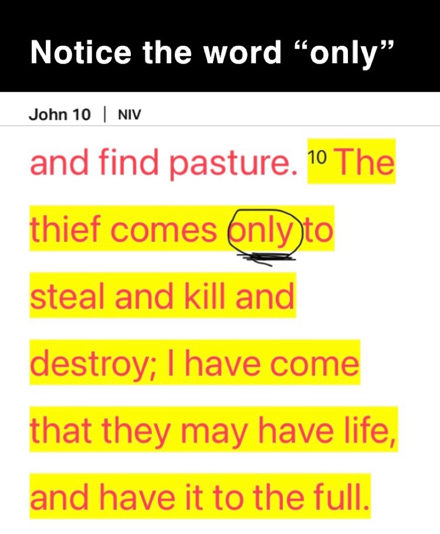 JonBrennan_com's tweet photo. “Only”
#ButJESUS https://t.co/nxZKNEr9kS