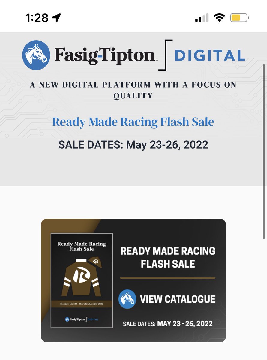 She is LIVE! digital.fasigtipton.com/sales/entry/107 Dazzlingdominika (‘20 Filly by Ghostzapper) WINNER second time out @ Churchill on 5/13, eligible for NW2 allowance and nominated to upcoming stakes. See her Tuesday or Wednesday 3-5PM Barn 7 Keeneland, 📞 859-229-9901 with any questions!